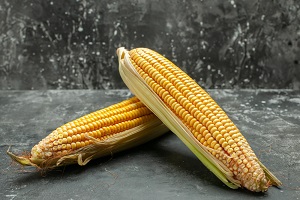  Corn