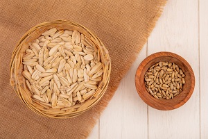 Emmer (type of wheat)
