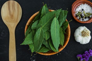 Epazote (Mexican herb)