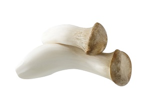 Eryngii mushroom
