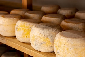 Formaggio (cheese in Italian)