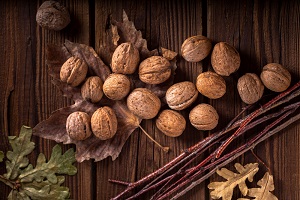 Hickory nuts