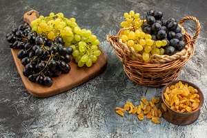 Oporto (grape variety)