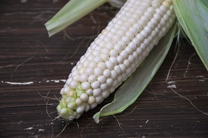 White corn