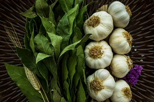 Wild garlic