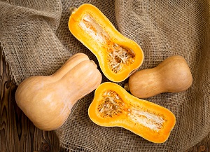 Winter squash