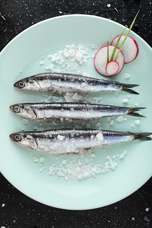 Xouba (small sardine-like fish from Spain)