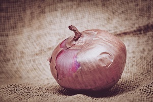 Yalta onion