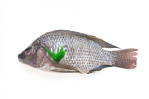 Yassa fish