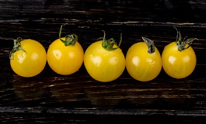 Yellow cherry tomatoes