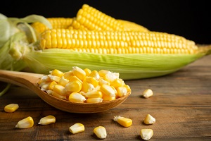 Yellow corn