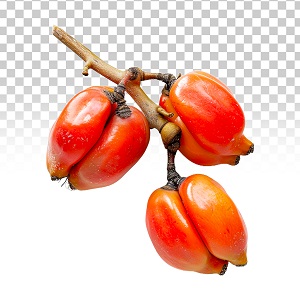 Ackee