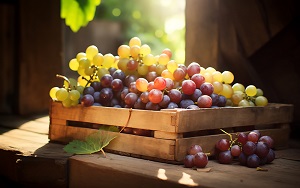 Amazon Grape