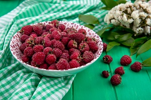 Arctic Raspberry