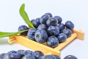 Bilberry