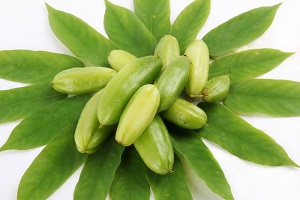 Bilimbi Fruit