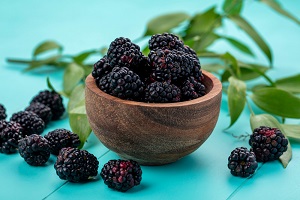 Black Mulberry