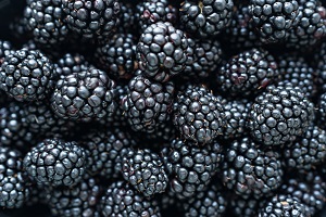 Black Raspberry