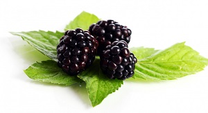 Blackberry