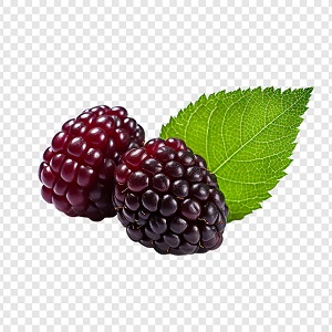 Boysenberry