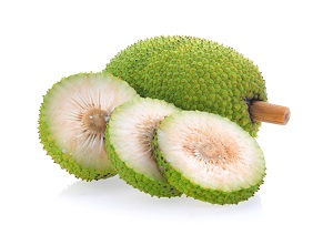 Breadfruit