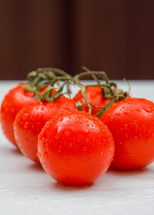 Bush Tomato