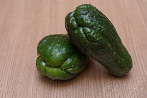 Chayote