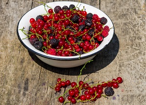 Clove Currant