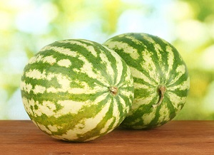 Cucumber Melon