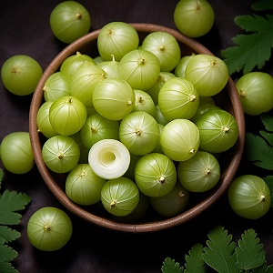 East Indian Gooseberry