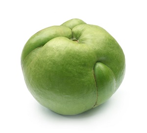 Elephant Apple