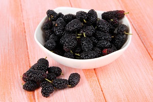 English Mulberry