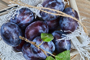 European Plum