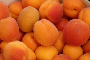 False Apricot