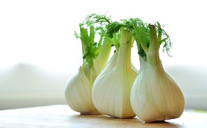 Fennel Bulb