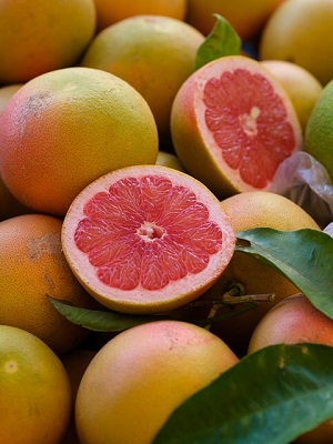 Florida Grapefruit