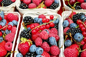 Fruity Berries