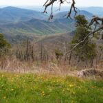 green grass field near mountain during daytime