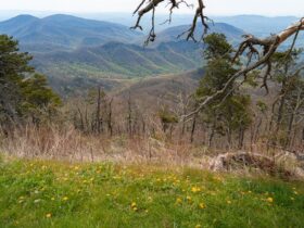 green grass field near mountain during daytime