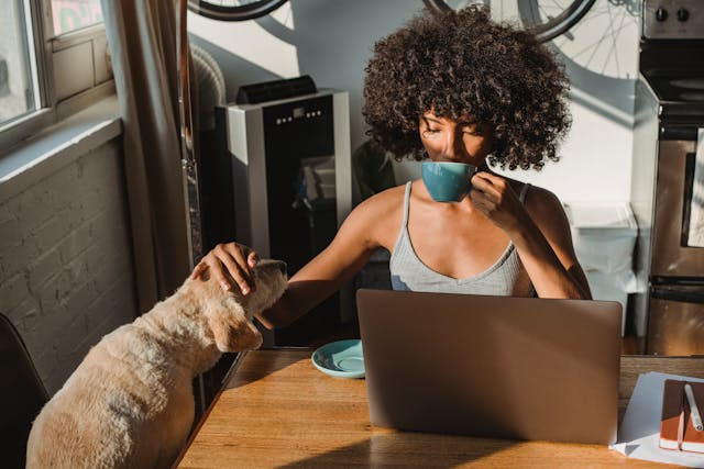 African American female freelancer using laptop and drinking coffee