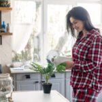 Plants into Your Kitchen Decor