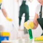 professional mold removers