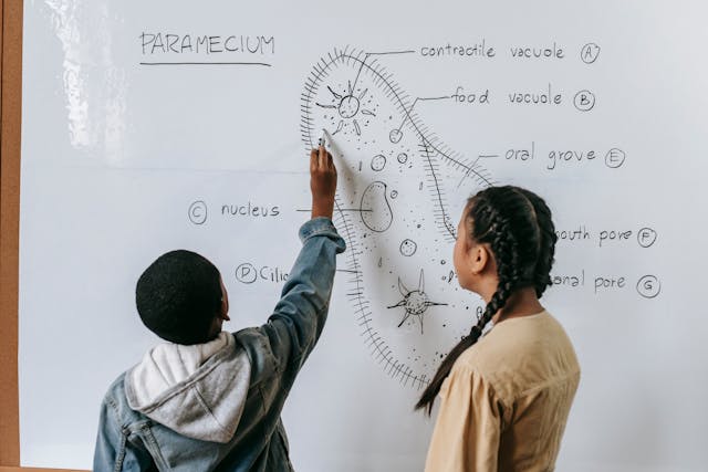 children writing on whiteboard and studying biology