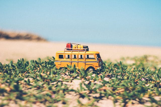 Yellow Die-cast Van on Green Seaweeds