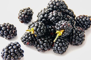 Blackberries