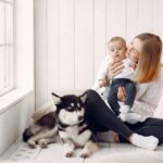 Home Pet-Friendly and Baby-Friendly