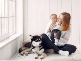 Home Pet-Friendly and Baby-Friendly