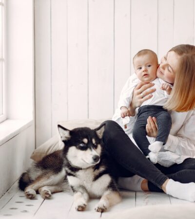 Home Pet-Friendly and Baby-Friendly