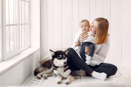 Home Pet-Friendly and Baby-Friendly