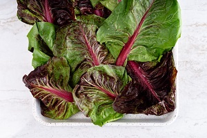 Swiss Chard